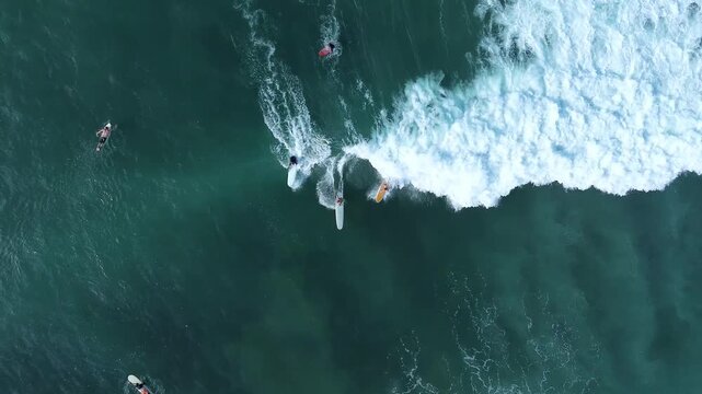 Top-down aerial drone view of surfers floating on surfboards in turquoise sea water and catching waves. Great stock asset for extreme sports and summer vacation content.Lombok island.Indonesia