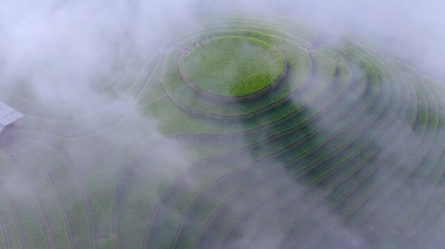 Aerial view of golden rice terraces at Mu Cang Chai town near Sapa city, North of Vietnam. Beautiful terraced rice field in harvest season in Lao Cai province.