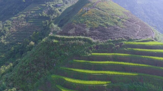 Aerial view of golden rice terraces at Mu Cang Chai town near Sapa city, North of Vietnam. Beautiful terraced rice field in harvest season in Lao Cai province.