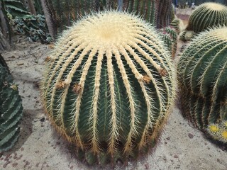 근접샷 © 재부팅 말걸면