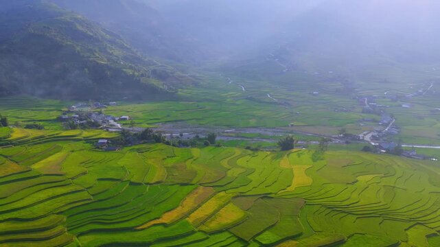 Aerial view of golden rice terraces at Khau Pha pass, near Mu Cang Chai town and Sapa city, Vietnam.