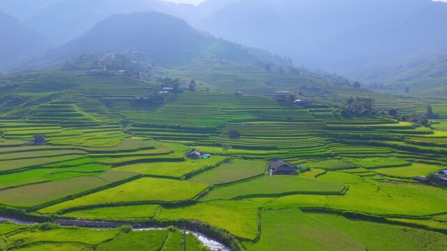 Aerial view of golden rice terraces at Khau Pha pass, near Mu Cang Chai town and Sapa city, Vietnam.