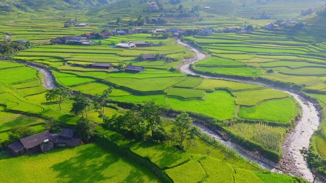 Aerial view of golden rice terraces at Khau Pha pass, near Mu Cang Chai town and Sapa city, Vietnam.