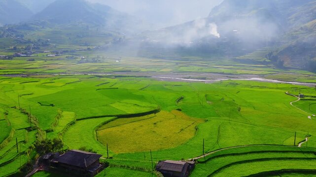 Aerial view of golden rice terraces at Khau Pha pass, near Mu Cang Chai town and Sapa city, Vietnam.