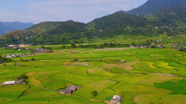 Aerial view of golden rice terraces at Khau Pha pass, near Mu Cang Chai town and Sapa city, Vietnam.
