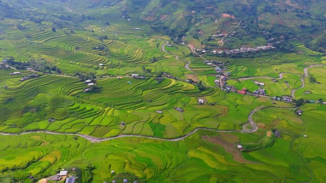 Aerial view of golden rice terraces at Khau Pha pass, near Mu Cang Chai town and Sapa city, Vietnam.