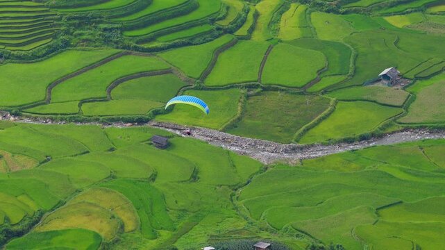 Aerial view of golden rice terraces at Khau Pha pass, near Mu Cang Chai town and Sapa city, Vietnam.
