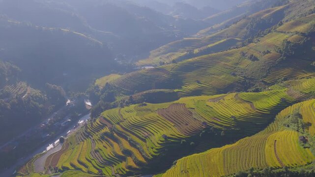 Aerial view of golden rice terraces at Mu Cang Chai town near Sapa city, North of Vietnam. Beautiful terraced rice field in harvest season in Lao Cai province.