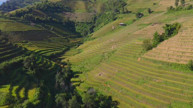 Aerial view of golden rice terraces at Mu Cang Chai town near Sapa city, North of Vietnam. Beautiful terraced rice field in harvest season in Lao Cai province.