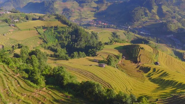 Aerial view of golden rice terraces at Mu Cang Chai town near Sapa city, North of Vietnam. Beautiful terraced rice field in harvest season in Lao Cai province.