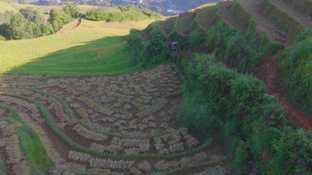 Aerial view of golden rice terraces at Mu Cang Chai town near Sapa city, North of Vietnam. Beautiful terraced rice field in harvest season in Lao Cai province.