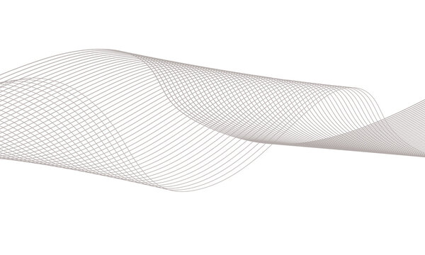 Abstract architectural wireframe structure with complex curving line art on a white background