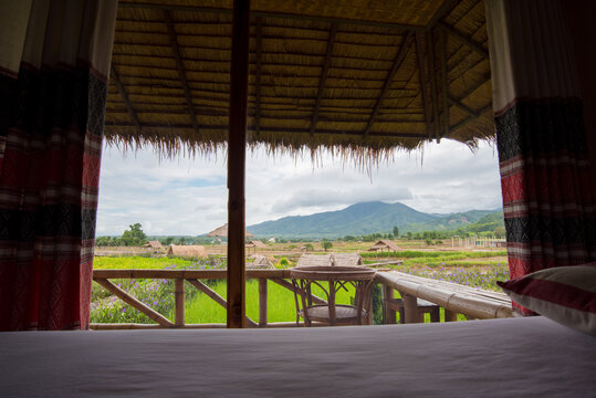 Natural homestay ,Best Organic Farm Stays in Thailand