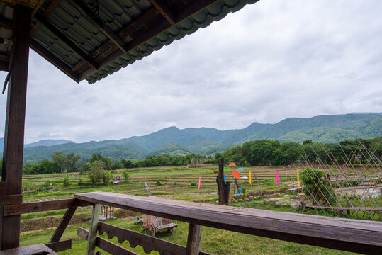 Natural homestay ,Best Organic Farm Stays in Thailand
