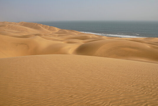 Dune landscape along the Atlantic ocean coastline in Namibia