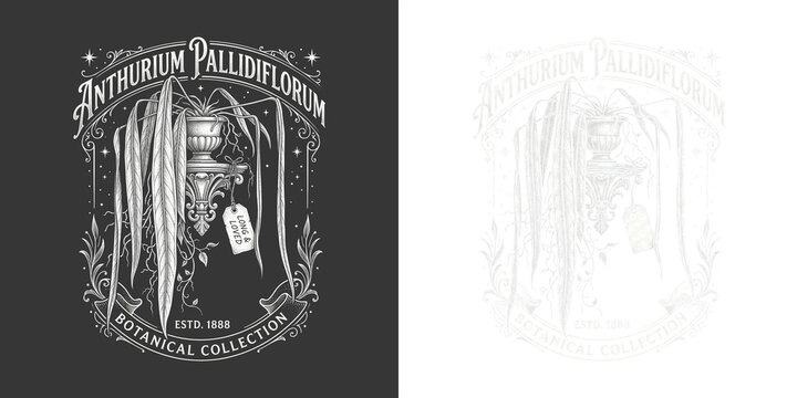 Botanical collection emblem design shown in dark and light versions