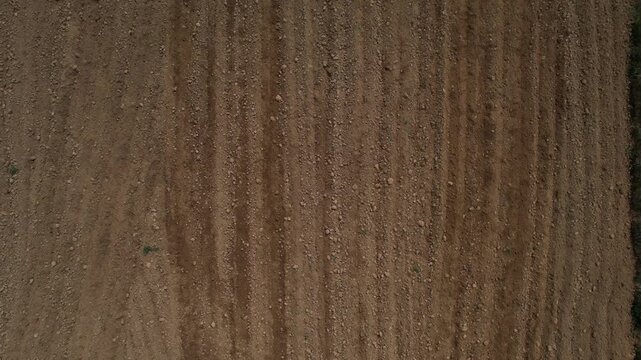 Ploughing field with freshly tilled brown soil, fine straight furrows and clods behind a departing red plough implement, Emilia Romagna, Italy, drone top down forward flyover