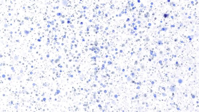 Blue blurred flickering dots fly back and forth against a white background.