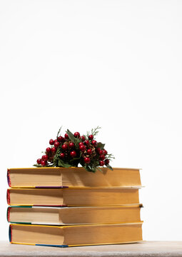 Festive book collection featuring greenery and holiday ornaments on a white background. Great for e-commerce banners, bookstore social media, and Christmas shopping discount advertisements.