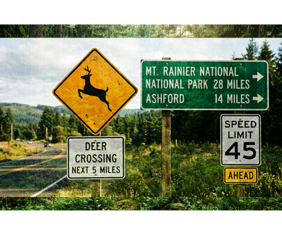 Road sign directing travelers to Mt. Rainier National Park and Ashford with a deer crossing warning sign