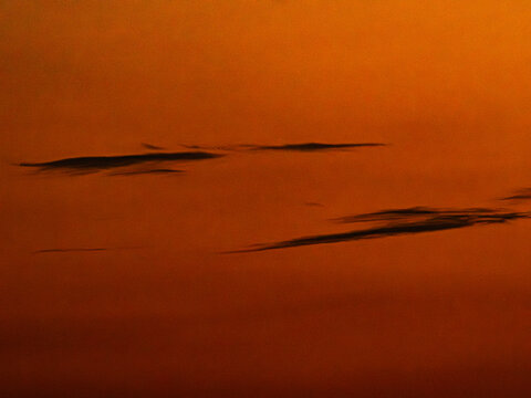 Minimalist burnt orange sky with thin dark cloud streaks and heavy film grain, abstract sunset background with copy space