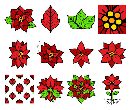 Christmas Poinsettia Flowers and Leaves Vector Icon Set