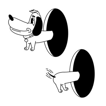 a dog's instinct for freedom