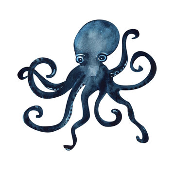 Octopus with tentacles, watercolor illustration isolated on a white background, underwater creature in navy blue color