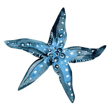 Blue starfish watercolor, marine underwater animal illustration isolated white, natural hand drawn