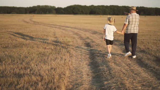 Calm rural scenery, grandpa and child strolling on path between growing cereals. Golden ears of wheat or rye in farmland, back view of walking old farmer and little grandson, beautiful landscape