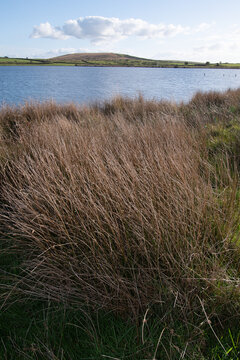 Dozmary Pool, Bodmin Moor, Cornwall in Arthurian Legend where Excalibur is cast
