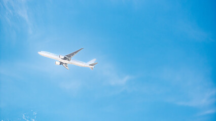 飛行機 © S造園