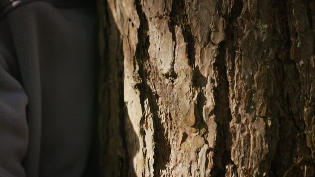 Asian man touching tree bark and resting head against trunk with closed eyes in forest. Footage ideal for mental wellbeing, mindfulness promotion and ecotherapy campaigns