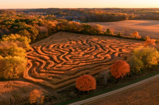 Corn maze during autumn sunset, aerial view
