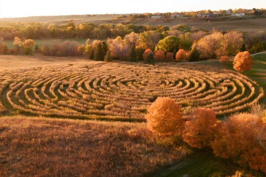 Labyrinth maze in autumn field during golden hour