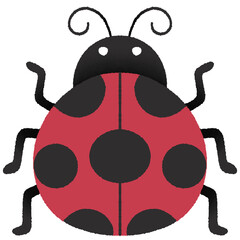 ladybug © 24