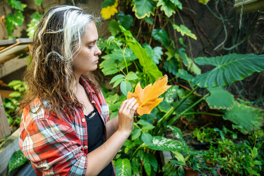 Worried serious woman florist greenhouse employee inspecting damaged philodendron plant foliage, concerned focused female orangery worker holding looking at ill yellow leaf, plant disease in nursery.