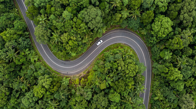 Winding road through a lush green tropical forest, with a car, captured from above, symbolizing an adventurous journey