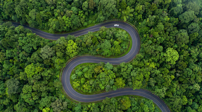 Aerial view of winding road through dense green tropical forest canopy