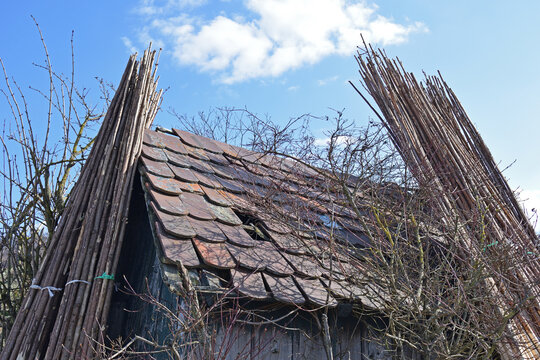 Timber Poles anf Shingled Roof of Overgrown Wooden Shed in German Field 