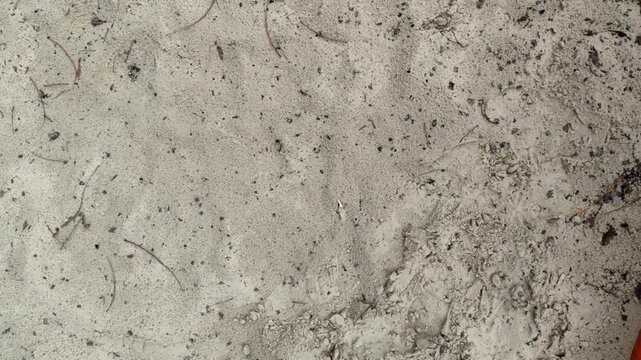 Rough, grey plastered wall with veins. Concrete wall texture, decorative plaster.	