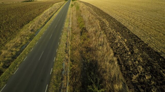 Forward drone flight with camera tilted down 45 degrees over an empty asphalt road surrounded by agricultural fields at golden hour, scenic aerial view of a vacant countryside highway