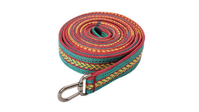 Colorful rainbow striped fabric dog leash strap collar pet accessory, isolated on transparent background.