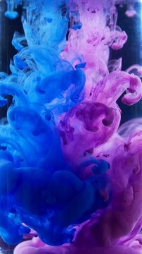 Blue and pink ink swirling in water transparent background. Liquid paint cloud mixing in fluid motion. Creative abstract photo with alpha channel for graphic design and overlay use.