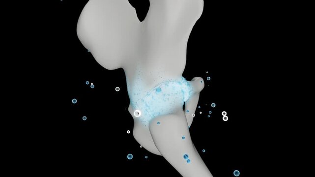 3D Demonstration of Hip Joint Injury Repair+ alpha channel