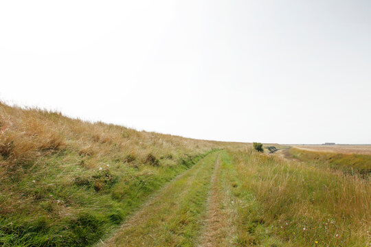 Grassy Country Path Through Coastal Dunes Under a Wide Sky, Serene Rural Landscape and Horizon