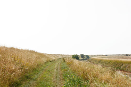 Country Road Through Golden Fields And Meadows Under A Wide Pale Sky, Rural Landscape