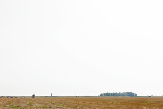 Wide Open Harvest Field With Hay Bales and Distant Tree Line Over Minimal Sky