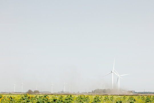 Wind Turbines Over Sunflower Field With Tractor Dust on Rural Renewable Energy Landscape