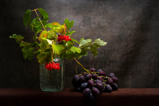 Still life with ripe grapes and red viburnum branches